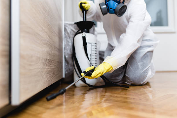 Best Pest Control Near Me in Tuolumne City, CA