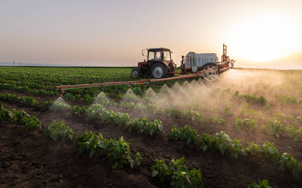 Reliable Tuolumne City, CA Pest Control Solutions