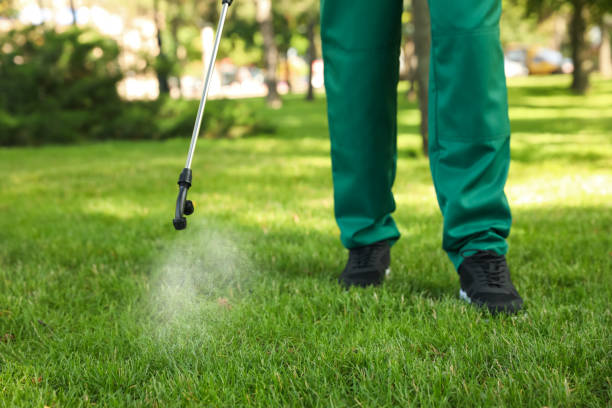 Best Termite Control Services  in Tuolumne City, CA