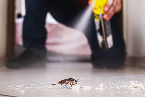 Best Residential Pest Control  in Tuolumne City, CA