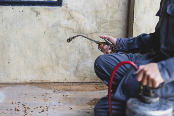 Best Wasp Removal Services  in Tuolumne City, CA